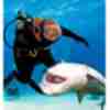 Смішне фото про акул