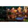 Смішне фото про осінь