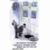 Карикатура про падіння, каналізацію, цинічна чорна